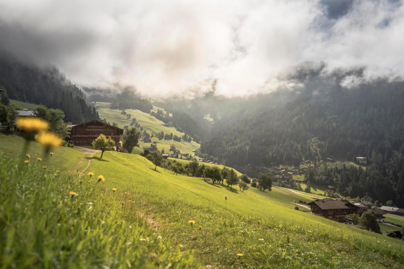 Alpapart Schneider Alpbach Exterior foto